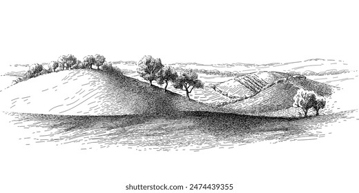 Gras auf den Feldern Hügel Landschaft. Satz von Obstbäumen: Oliven, Apfel, Pflaume, Aprikose. Obstgarten, Hain. Vektorgrafik realistische Schwarz-Weiß-Vintage-Skizze-Illustration