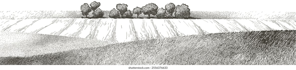 Grass on the fields hill landscape. Set of fruit trees: olive, apple, plum, apricot. Orchard, grove. Vector realistic black and white vintage sketch illustration