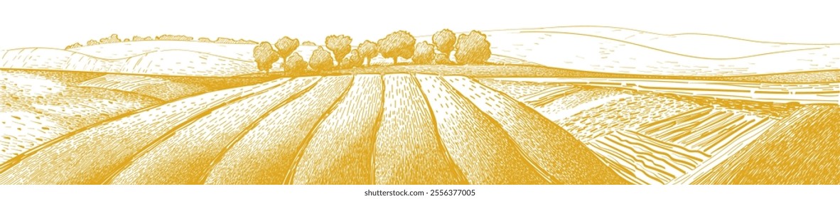 Grass on the fields hill landscape. Set of fruit trees: olive, apple, plum, apricot. Orchard, grove. Vector realistic black and white vintage sketch illustration