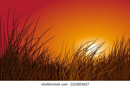 Grass on gradient sunset sky nature background