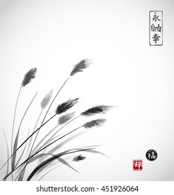 Grass on meadow hand drawn with ink. Traditional Japanese ink painting sumi-e. Contains hieroglyphs - eternity, freedom, happiness, zen, luck