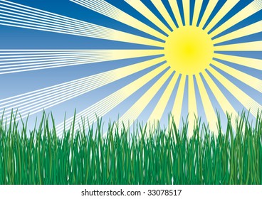 Grass on sky background. Vector illustration.