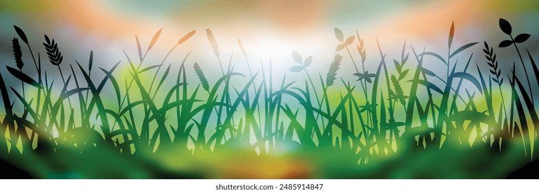 Grass on a summer, morning, bright meadow, vector illustration, seamless border, banner	