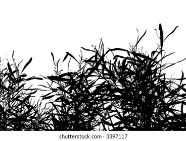 grass on white