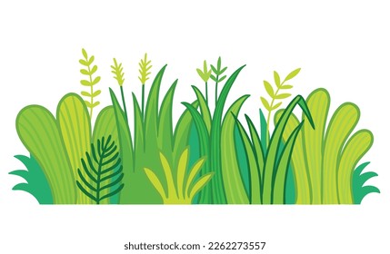 Grass on a white background. Vector illustration with green plants in cartoon style.