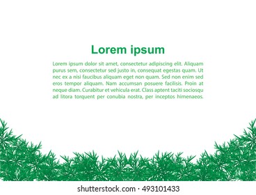 Grass on white background vector illustration