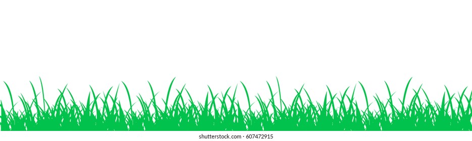 Grass on white background - vector