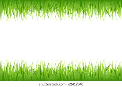 Grass On White Background, Vector Illustration