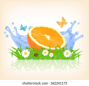 Grass and orange fruit on a background of splashing water. Summer time. Time for a picnic. Vector background. EPS10 vector