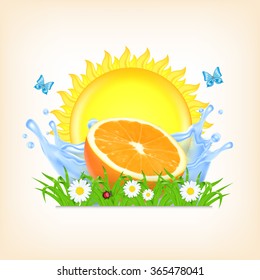 Grass and orange fruit on a splashing water and sun. Summer time, spring time. Time for a picnic. Vector background. EPS10 vector