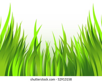 Grass over white. Vector illustration