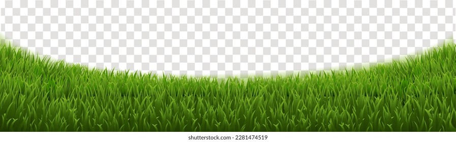 Grass Panorama And Isolated Transparent Banner,
With Gradient Mesh, Vector Illustration