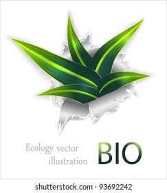 Grass and paper. Bio vector illustration with plant grows from a hole