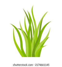 Grass pattern flat icon. Leaf borders, flower elements, nature background vector illustration. Green land concept for template design