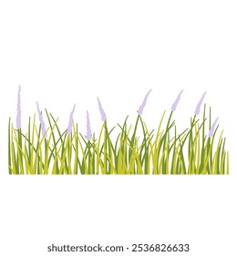 Grass plant with flower aesthetic