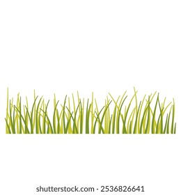 Grass plant with flower aesthetic