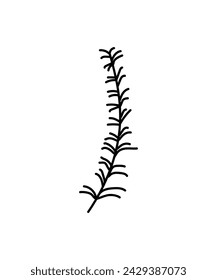 grass plant icon, vector best flat icon.