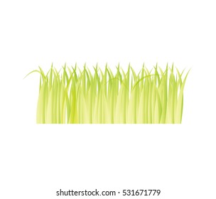 grass plant isolated icon vector illustration design