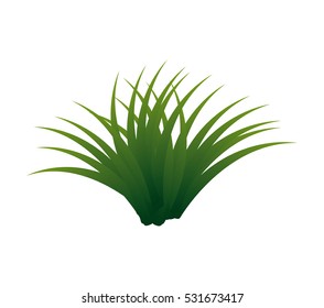 grass plant isolated icon vector illustration design