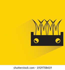 grass and plant with shadow on yellow background