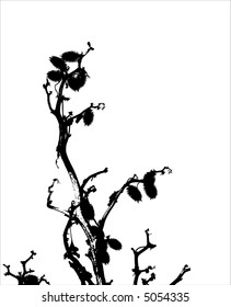 grass / plant / silhouette / vector. Ideally for your use