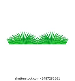 Grass plant, wild grass, fields, garden plant, environmental