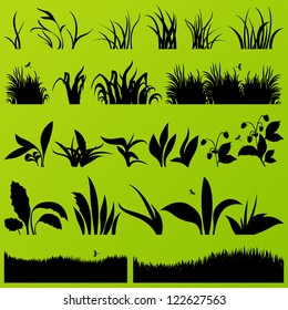 Grass and plants detailed silhouettes illustration collection background vector