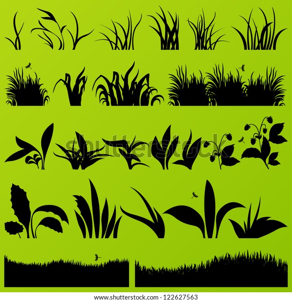 草和植物详细剪影插图集合背景矢量库存矢量图 免版税