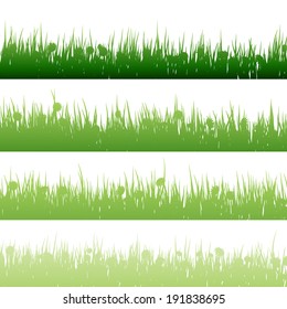 Grass and plants detailed silhouettes on white.  EPS 10 vector