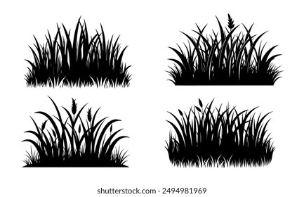 Hierba y plantas siluetas detalladas.Vector