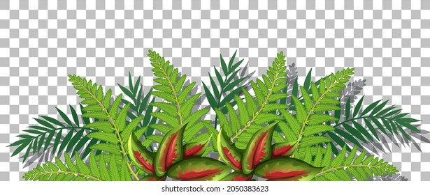 Grass and plants on transparent background for decor illustration
