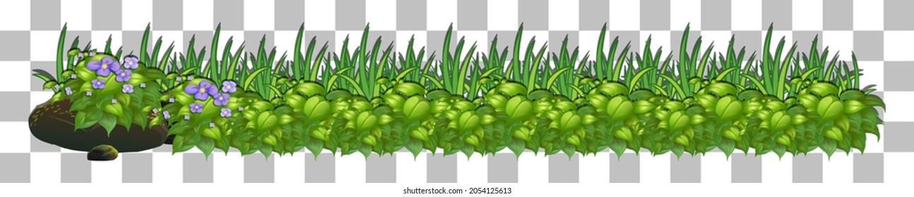 Grass and plants on transparent background for decor illustration