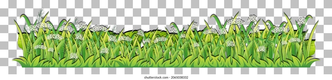 Grass and plants on transparent background for decor illustration