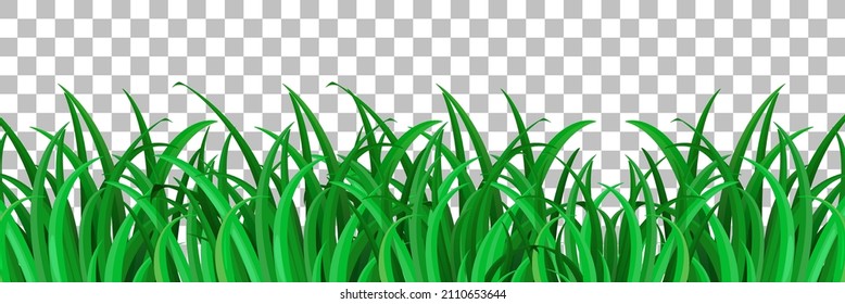 Grass and plants on transparent background for decor illustration