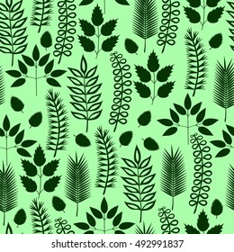 Grass and plants seamless pattern. Vector illustration.
