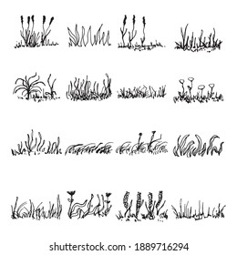 silueta de hierba y plantas. vector