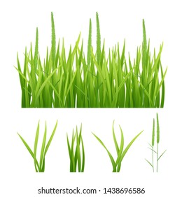 Grass realistic. Green nature vector pictures of grass and leaves plantain 3d objects. Illustration of grass green, fresh lawn growth