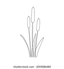 Grasreed, gezeichnet von einer Linie. Blumenskizze. Minimale Kunst. Durchgehende Linienzeichnung. Vektorgrafik.