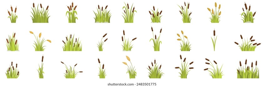 Grass reed icons set. Collection of green reed plants growing in swamp