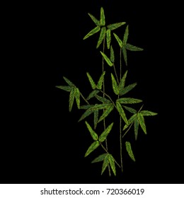 grass reed. traditional stylish fashionable floral embroidery on the black background. sketch for printing on fabric, clothing, bag, accessories and design. vector, trend