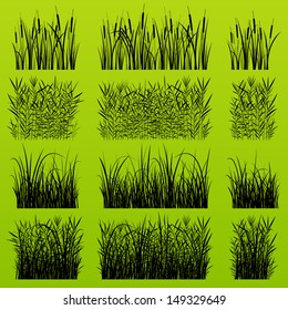 Grass, reed and wild plants detailed silhouettes illustration collection background vector