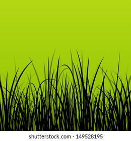 Grass, reed and wild plants detailed silhouettes illustration background vector