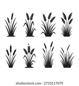 Grass and Reeds Silhouette Vector Set Wheat, Pampas, and Meadow Grass