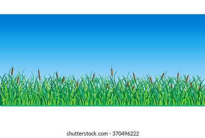 Grass and Reeds. Vector Illustration.
