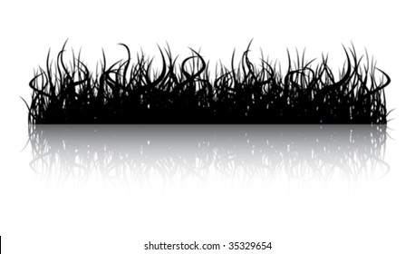 Grass with the reflection. Illustration conducted was used as the dummies for your composition.