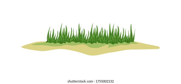 grass and sand vector hand drawn style, green and fresh plant illustrations