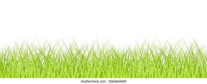 Grass seamless border isolated, vector illustration