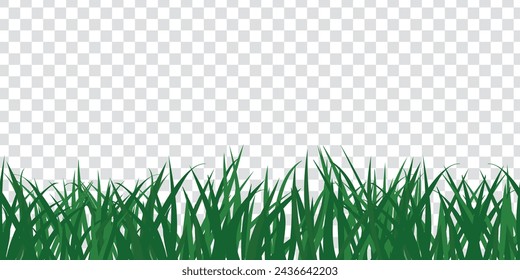 Grass, seamless border on transparent background