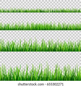 Grass seamless field pattern isolated on white. Vector green grass illustration eps10