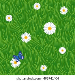 Grass seamless pattern with chamomiles and butterfly, vector